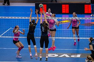 55012717193_2d3a974ec0_o