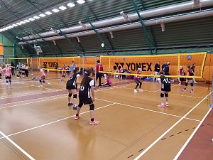 32f5c58a-e2a7-4d29-bcbb-caa7dda1388d