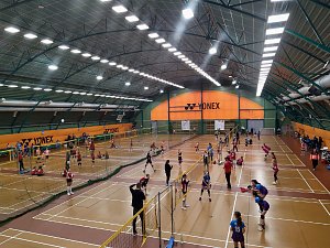 e7c77a0e-4896-4631-9a0b-0f139bb04ff1